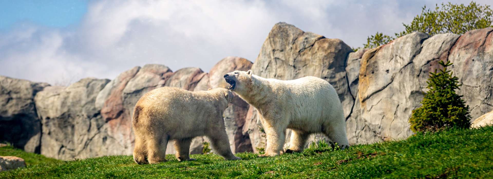 Assiniboine Zoo
