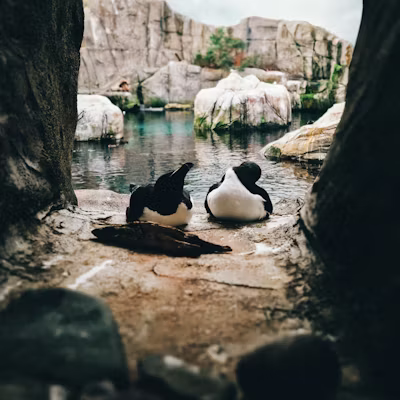 Biodome wildlife