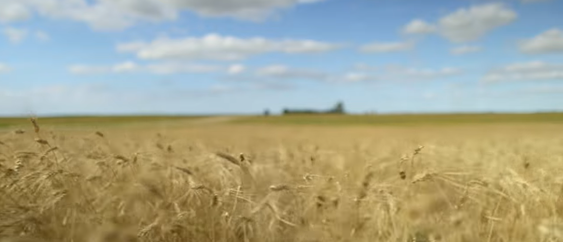 Saskatchewan scenery