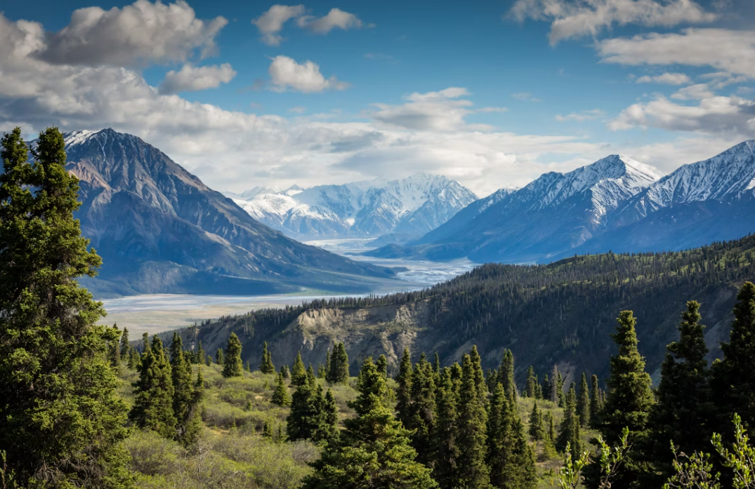 Yukon scenery
